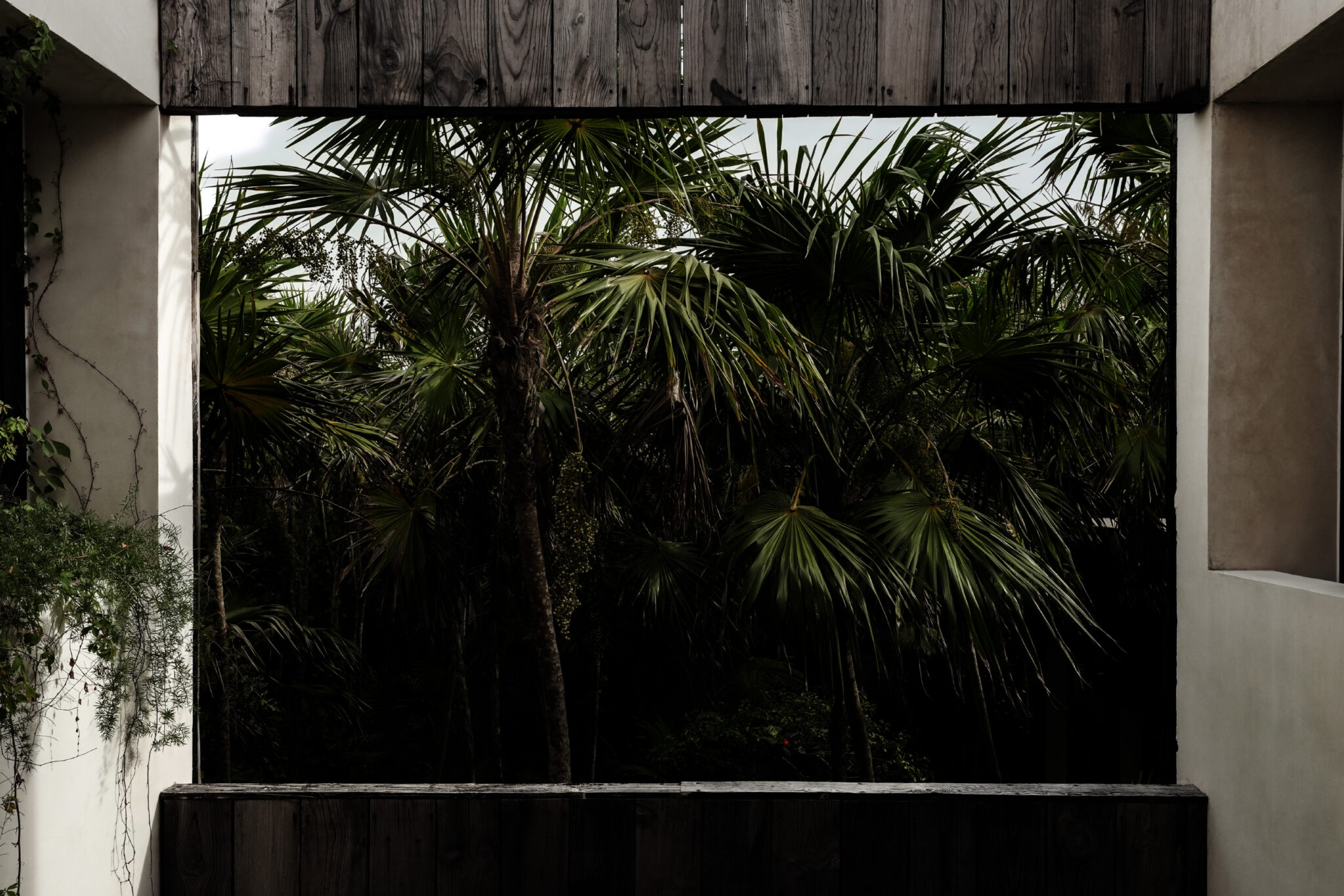 jungle-rooms-beachfront-hotel-tulum